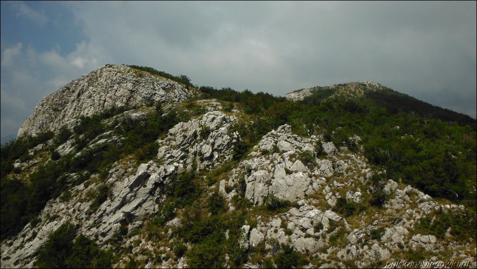 Next