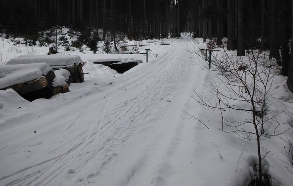 Laliki - Rupienka
